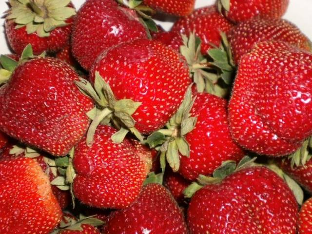 Strawberry varieties for central Our Country