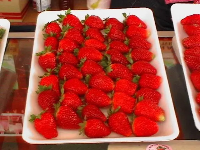 Strawberry variety Ada: description, photos and reviews
