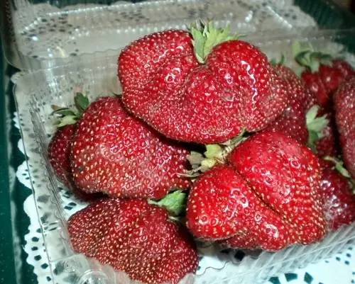 Strawberry Vikoda