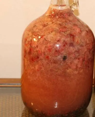 Strawberry wine at home: recipe 