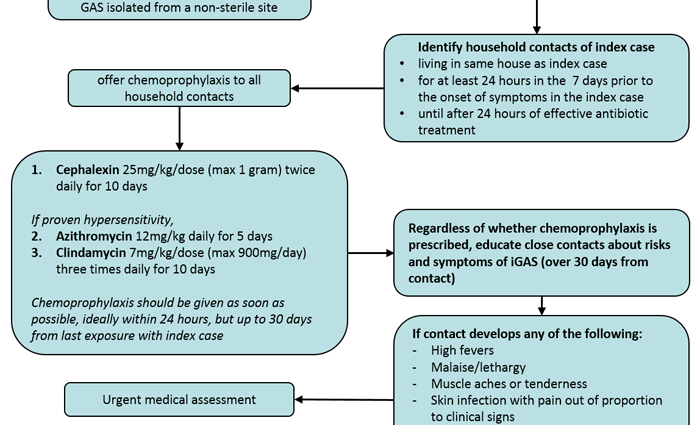 Streptococcal infection &#8211; streptococcal groups, symptoms and treatment