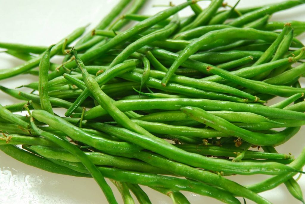 String beans: growing a vitamin crop in the open field