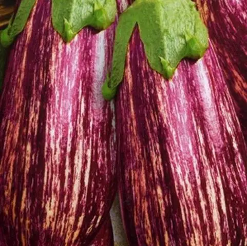 Striped eggplant with photo and description