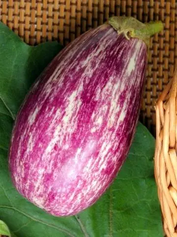 Striped eggplant with photo and description