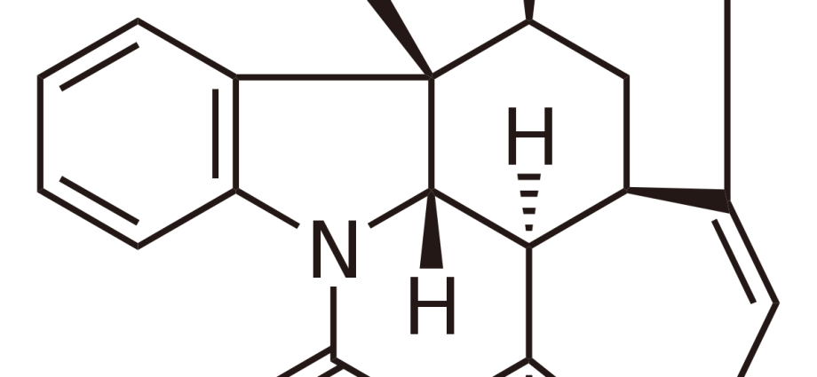 Strychnine &#8211; poison or drug? How does strychnine work on the body?