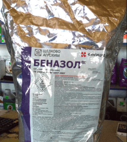 Sugar beet cercosporosis: treatment, control measures, description, photo