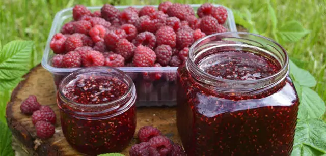 Sugar Free Raspberry Jam Recipes