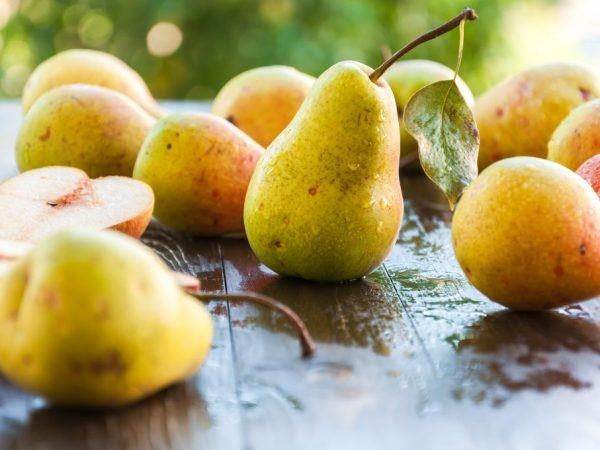 Summer (early) pear varieties: description, photo, reviews