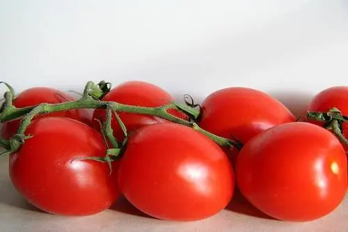 Super early varieties of tomatoes for open ground