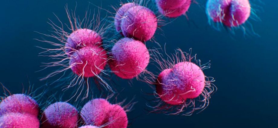 Super gonorrhea discovered in Austria. It is drug resistant