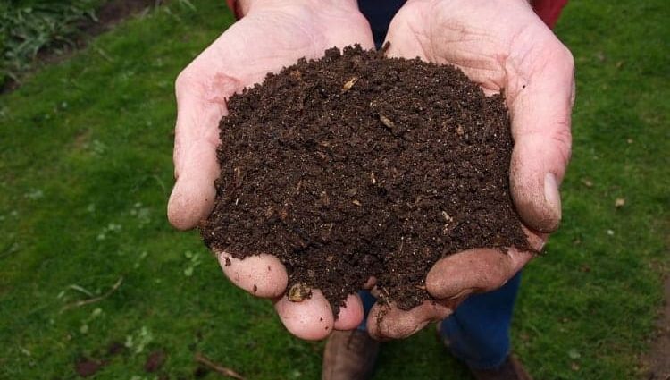 Superphosphate in compost: how to add it correctly and what is the use?