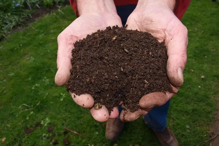 Superphosphate in compost: how to add it correctly and what is the use?