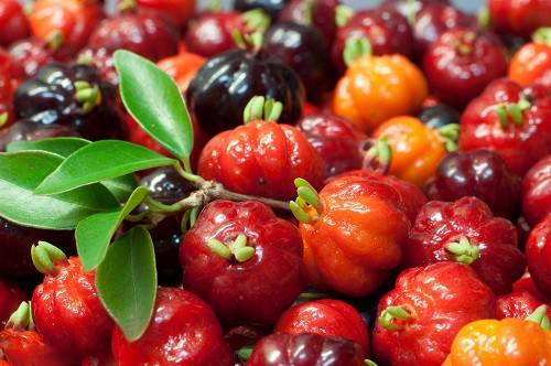 Surinam cherry