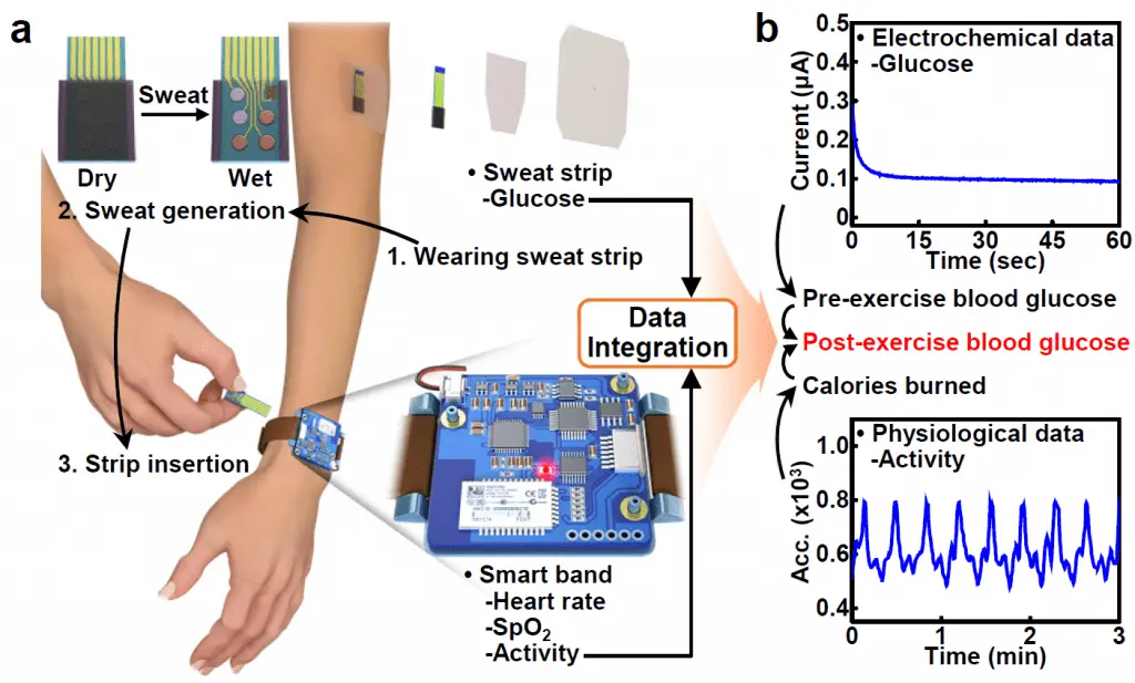 Sweat instead of blood. Now this is how you measure your sugar level