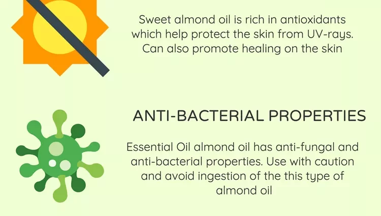 Sweet almond oil &#8211; properties and application