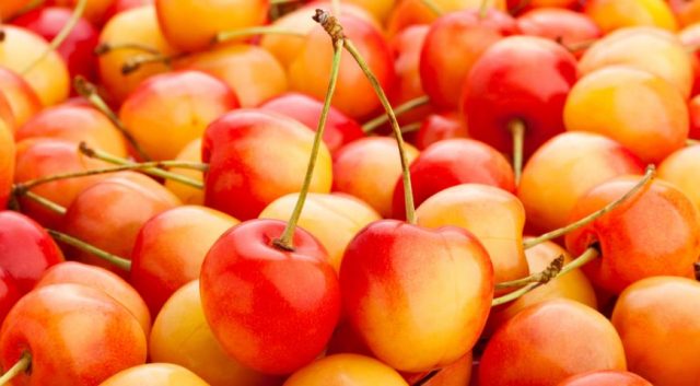 Sweet cherry in the Moscow region - the best varieties