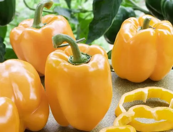 Sweet pepper varieties for open ground and greenhouses: characteristics and reviews, choosing the right ones