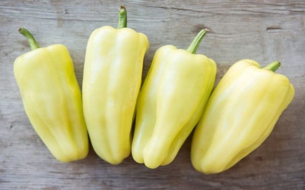 Sweet pepper varieties for open ground and greenhouses: characteristics and reviews, choosing the right ones