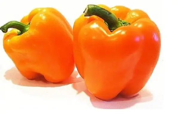 Sweet pepper varieties for open ground and greenhouses: characteristics and reviews, choosing the right ones