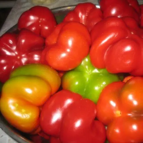 Sweet pepper variety Gogoshary: description, photo, reviews, planting and care