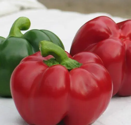 Sweet pepper variety Gogoshary: description, photo, reviews, planting and care