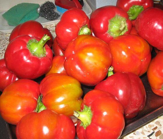 Sweet pepper variety Gogoshary: description, photo, reviews, planting and care