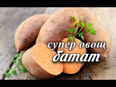 Sweet potato: what is it, photo, description, what is useful for the human body, as it is