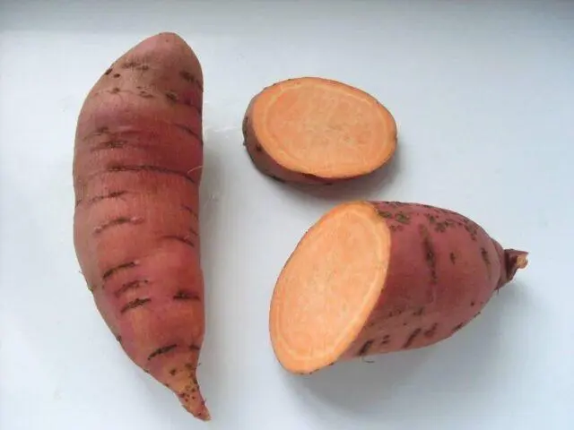 Sweet potato: where and how it grows, cultivation in Siberia, the Urals, in central Our Country