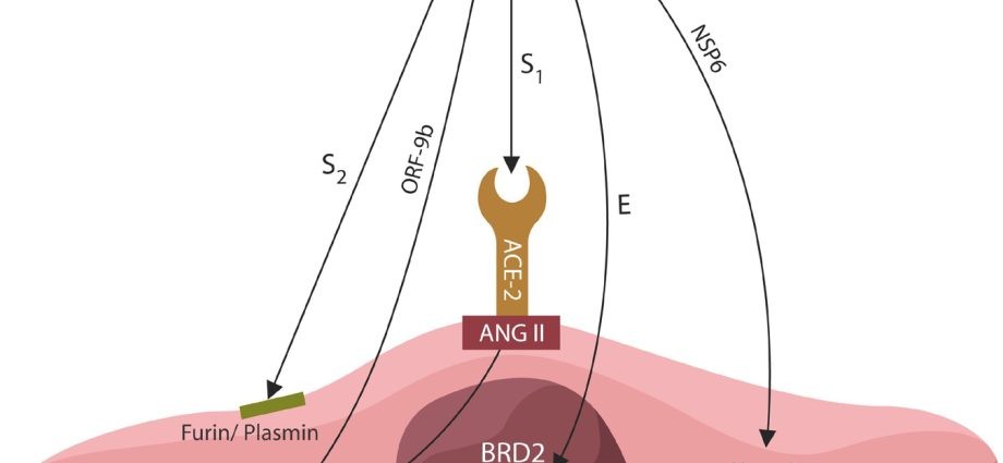 &#8220;Switch&#8221; protects against post-traumatic stress disorder