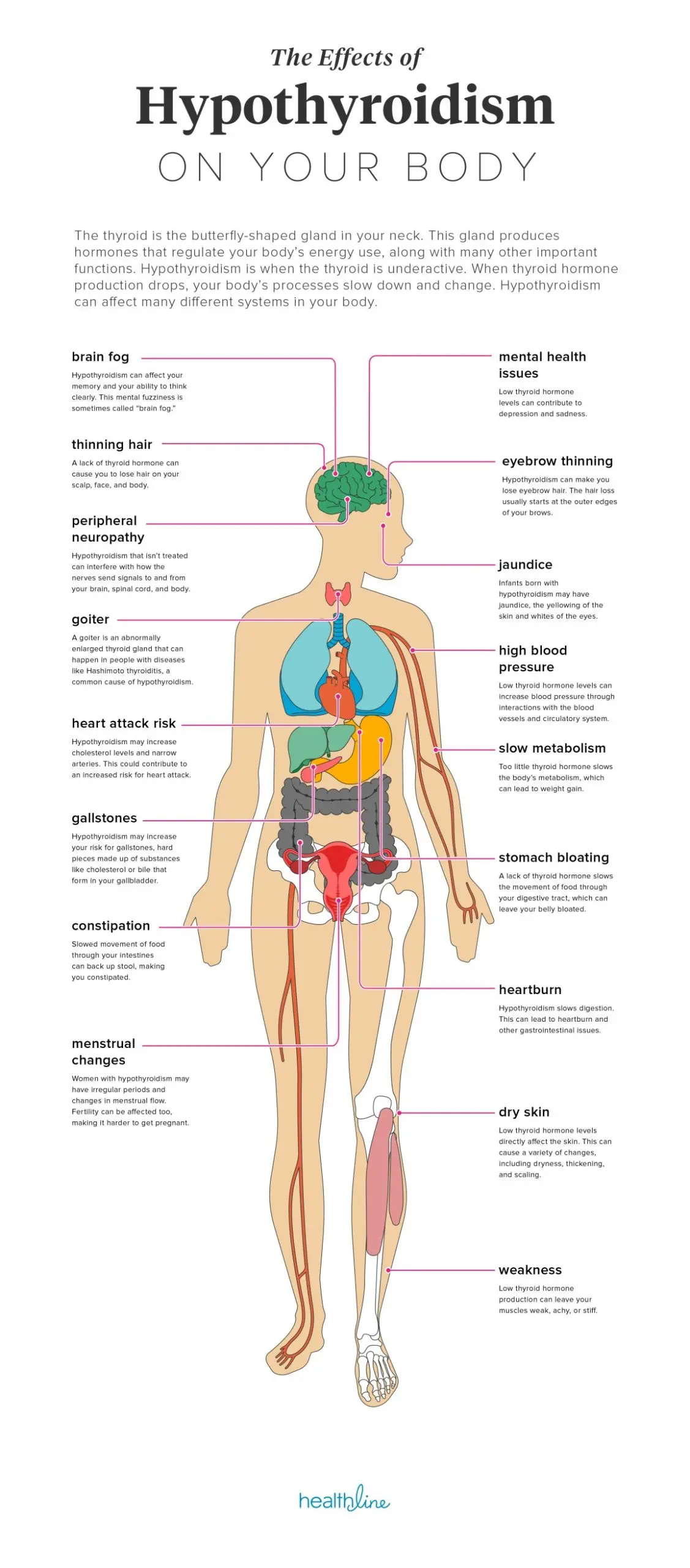 Symptoms of hypothyroidism &#8211; mental, neurological, skin