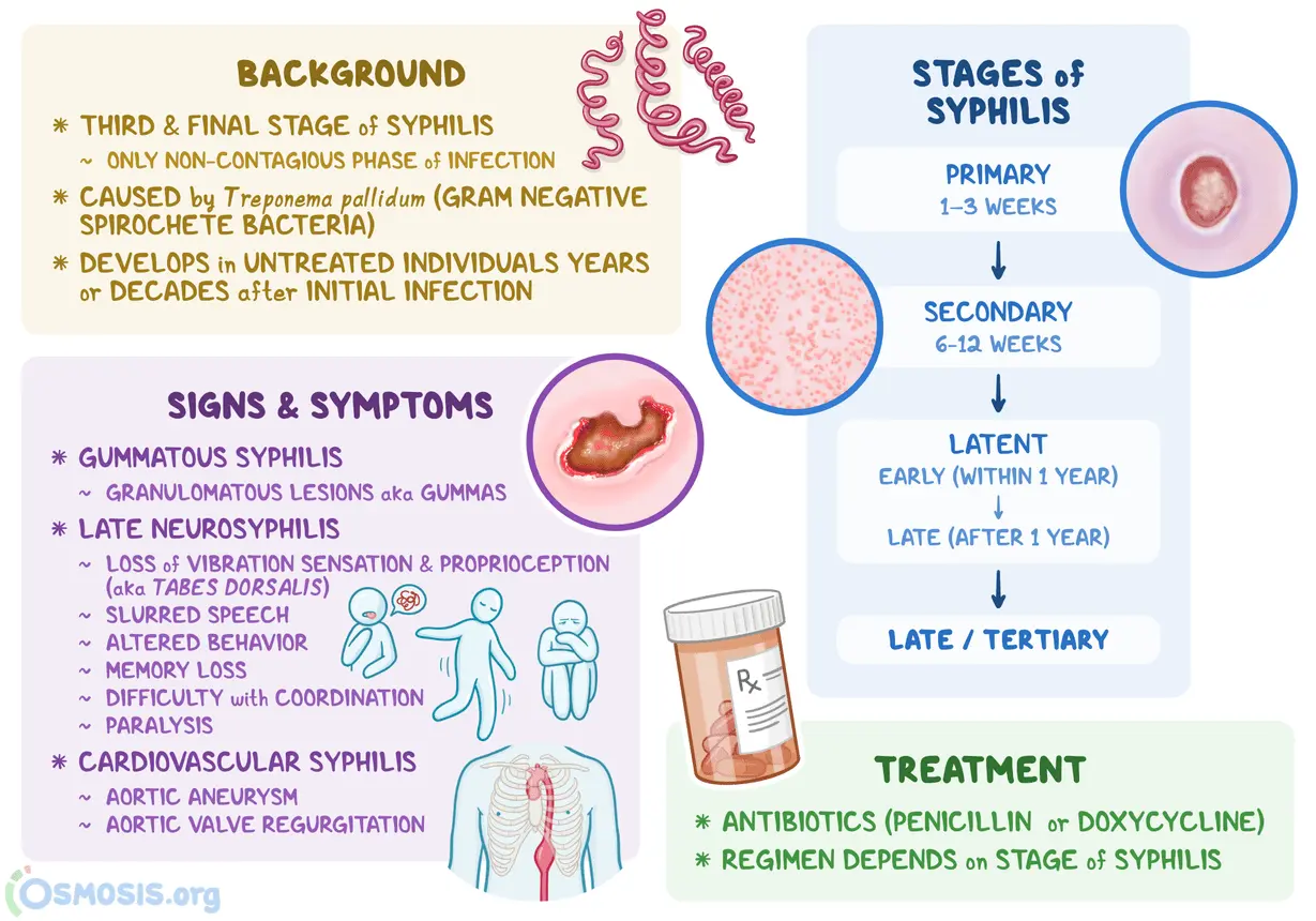 Syphilis (syphilis) &#8211; types, research, causes and treatment. Syphilis symptoms