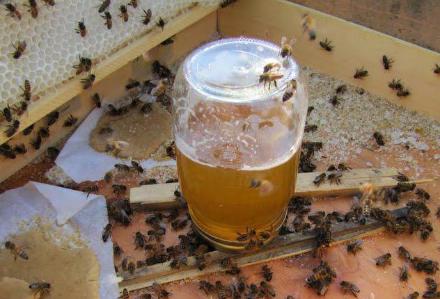 Syrup for bees for the winter: proportions and cooking rules