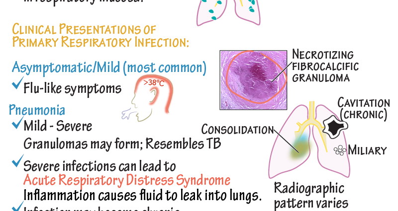 Systemic mycoses &#8211; symptoms and diagnosis