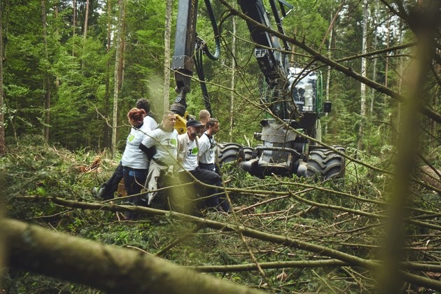 Szumowski about the ban on access to forests: it was not the right decision