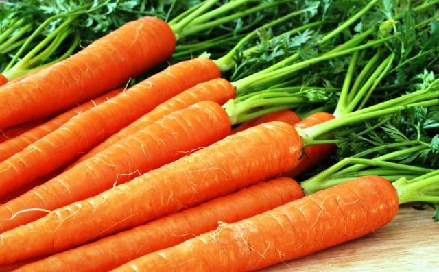 Table carrot varieties