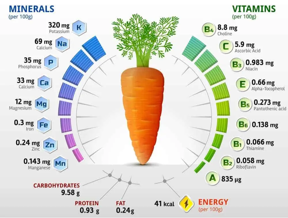 Table carrot varieties