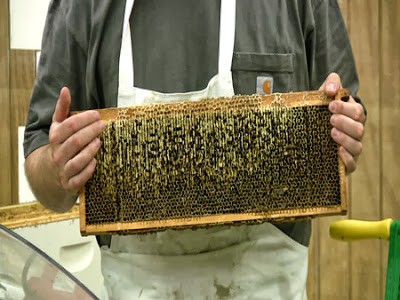 Table for printing honeycombs with your own hands