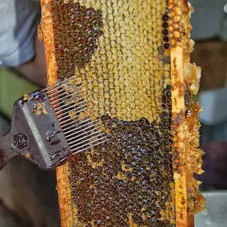 Table for printing honeycombs with your own hands