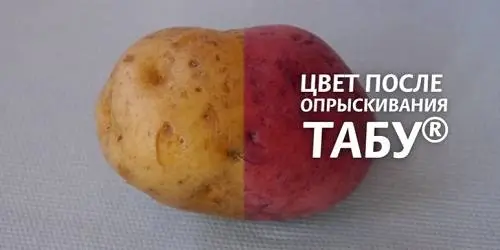 Taboo when planting potatoes: reviews 