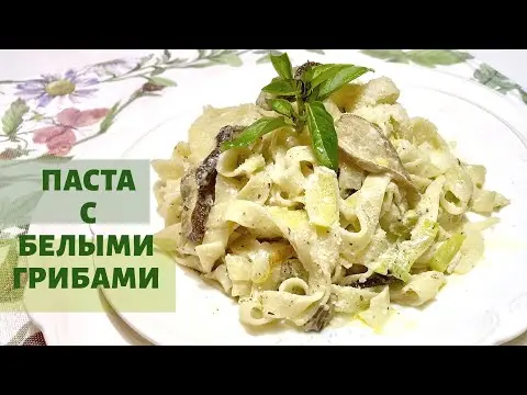 Tagliatelle with porcini mushrooms in a creamy sauce