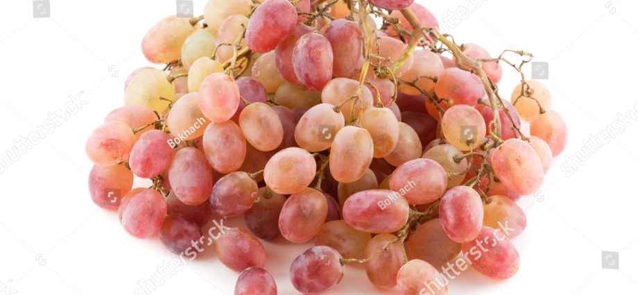 Taifi grape variety: pink, white