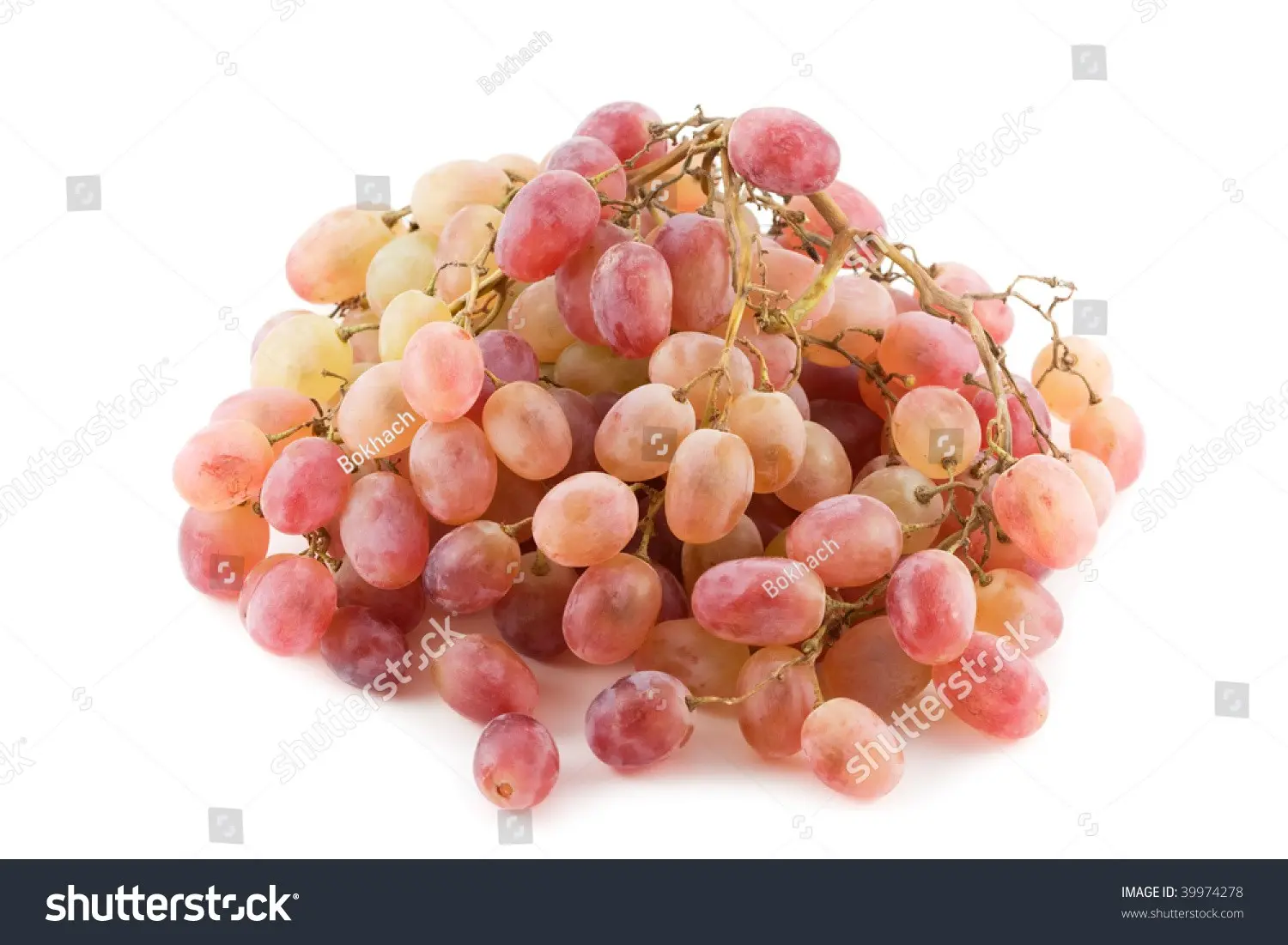 Taifi grape variety: pink, white