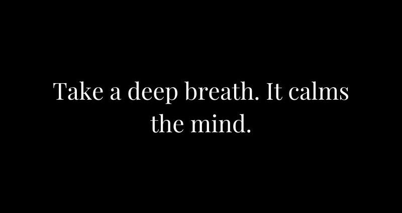 Take a deep breath and… don&#8217;t be afraid to fly