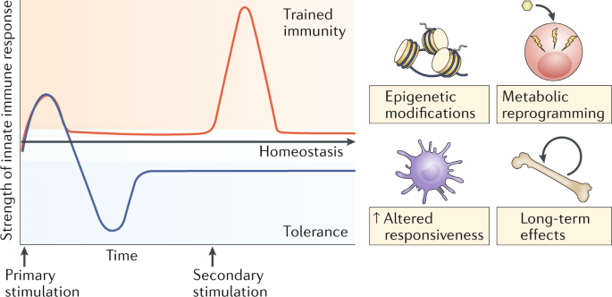 Take care of the immunity of the whole family