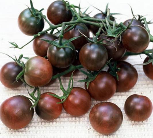 Tall cherry tomatoes: description of varieties with photos 