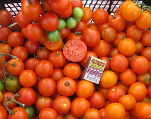 Tall cherry tomatoes: description of varieties with photos 