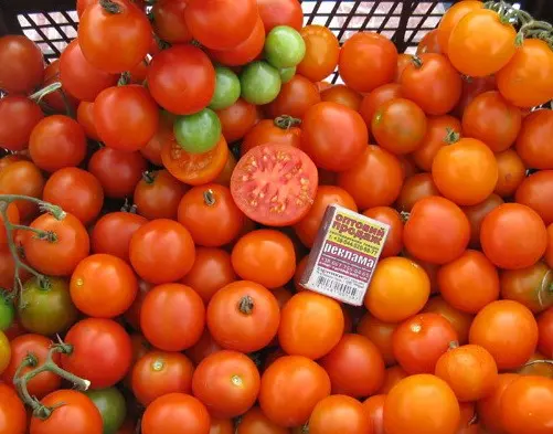 Tall cherry tomatoes: description of varieties with photos 