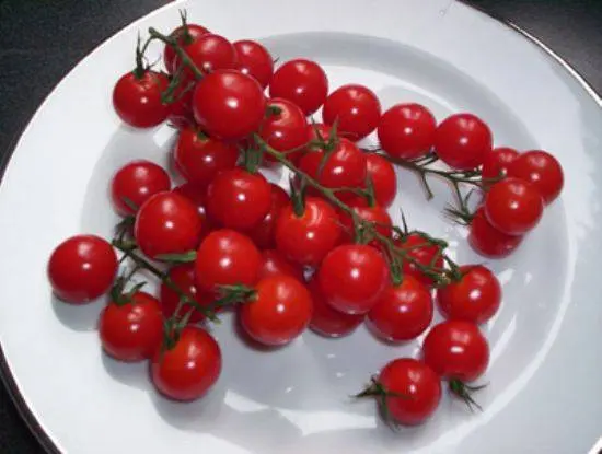 Tall cherry tomatoes: description of varieties with photos 