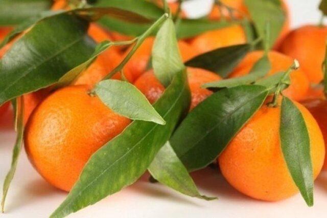 Tangerines: what are useful for the human body, calories per 100 grams