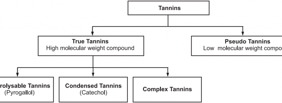 Tannin - phân loại và đặc tính
